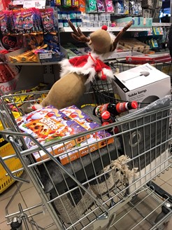 VISIT TO QUEEN SILVIA'S CHILDREN'S HOSPITAL